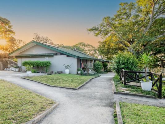 Chestnut Country Lodge - 232324
