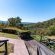 Chestnut Country Lodge - 232334