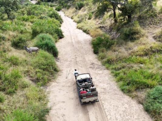 Elephant Plains Game Lodge - 232397