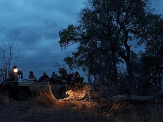 Elephant Plains Game Lodge - 232416