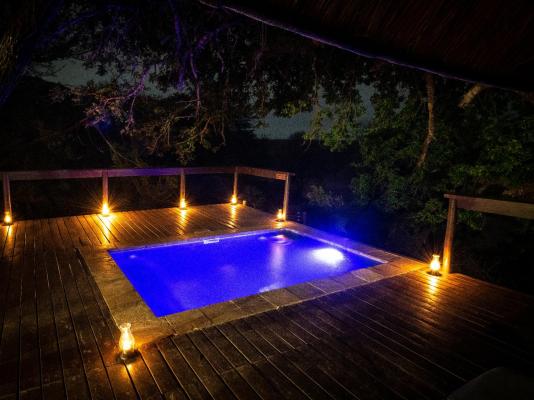 Elephant Plains Game Lodge - 232435