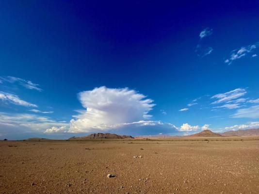 Sandseed Swakop - 232634