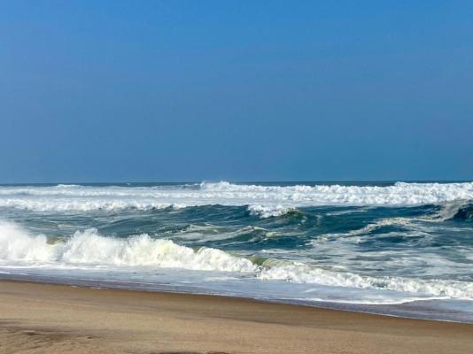 Sandseed Swakop - 232635