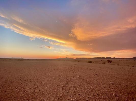 Sandseed Swakop - 232636