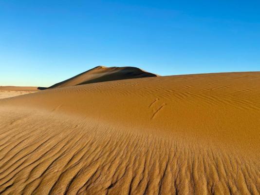 Sandseed Swakop - 232637