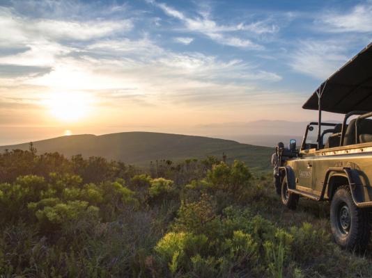 Grootbos Private Nature Reserve - 232835