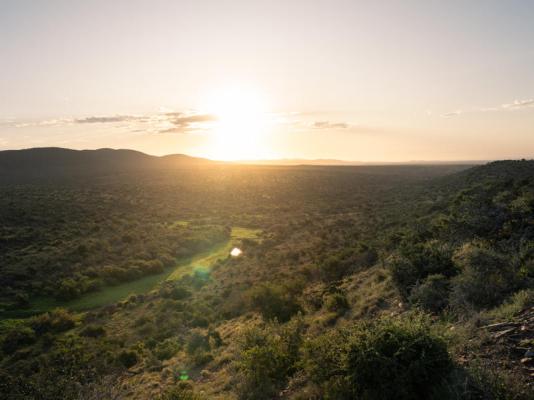 Kuzuko Lodge - 232906