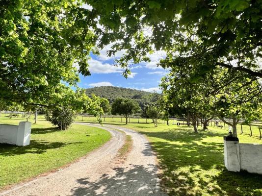 Bitou River Lodge - 232934