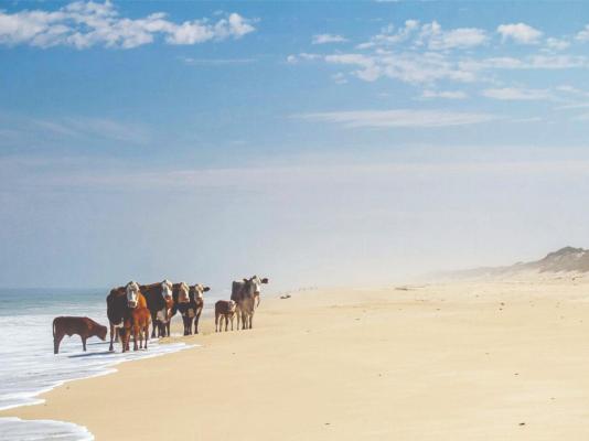 Wamakersvlei Beach Farm - 233145
