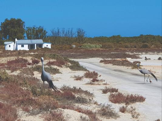 Wamakersvlei Beach Farm - 233147
