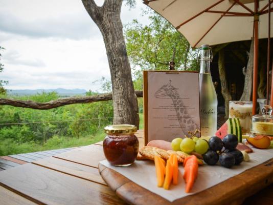 Madikwe Safari Lodge - 233226