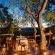 Madikwe Safari Lodge - 233236