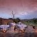 Madikwe Safari Lodge - 233238