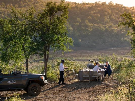 Madikwe Safari Lodge - 233240