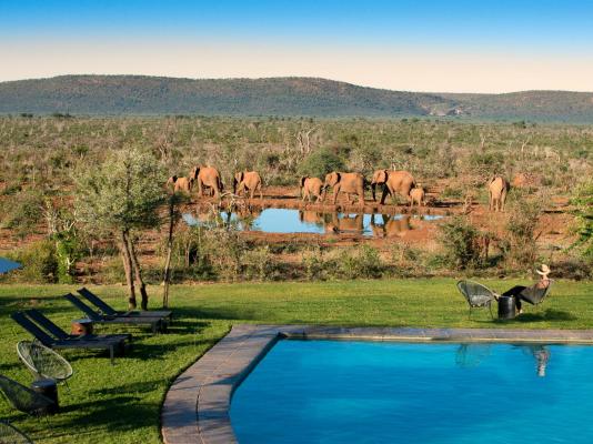 Madikwe Safari Lodge - 233241