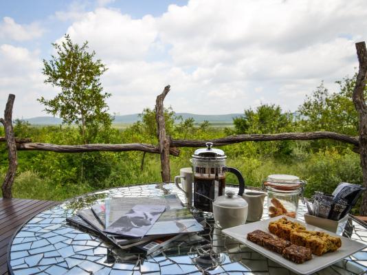 Madikwe Safari Lodge - 233247