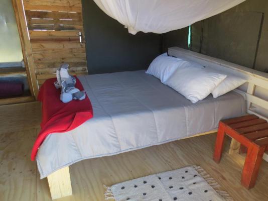 Spitzkoppe Tented Camp and Campsite - 233300