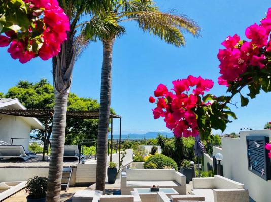 Southern Cross Guesthouse - 233380