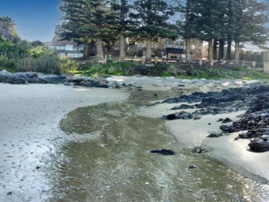 Sea Otters Lodge & Conference Centre - 233505