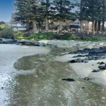 Sea Otters Lodge & Conference Centre - 233505