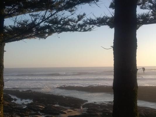 Sea Otters Lodge & Conference Centre - 233507