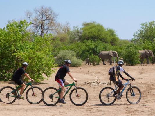 Mashatu Lodge - Mashatu Game Reserve - 233660
