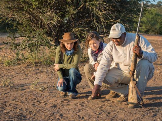 Mashatu Lodge - Mashatu Game Reserve - 233661