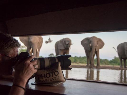 Mashatu Lodge - Mashatu Game Reserve - 233670