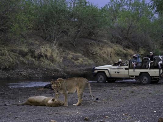 Mashatu Lodge - Mashatu Game Reserve - 233671