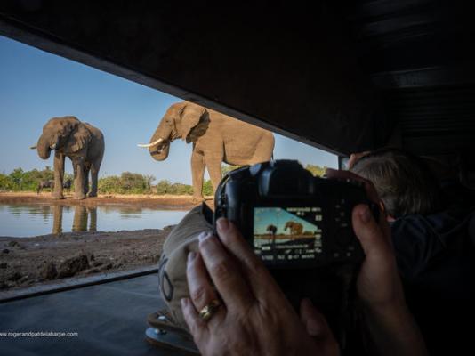 Mashatu Lodge - Mashatu Game Reserve - 233672
