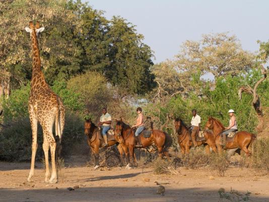 Mashatu Lodge - Mashatu Game Reserve - 233680