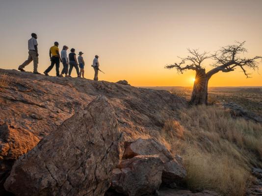 Mashatu Lodge - Mashatu Game Reserve - 233681