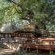 Tuli Safari Lodge Mashatu - Mashatu Game Reserve - 233700