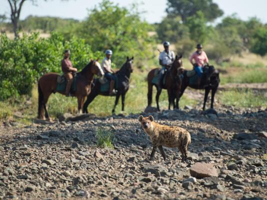 Tuli Safari Lodge Mashatu - Mashatu Game Reserve - 233702