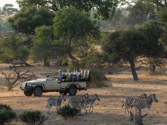 Tuli Safari Lodge Mashatu - Mashatu Game Reserve - 233703