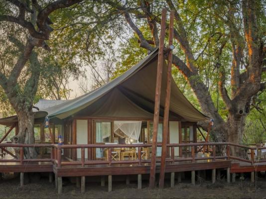 Tuli Safari Lodge Mashatu - Mashatu Game Reserve - 233707