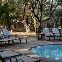 Mashatu Tent Camp - Mashatu Game Reserve - 233782