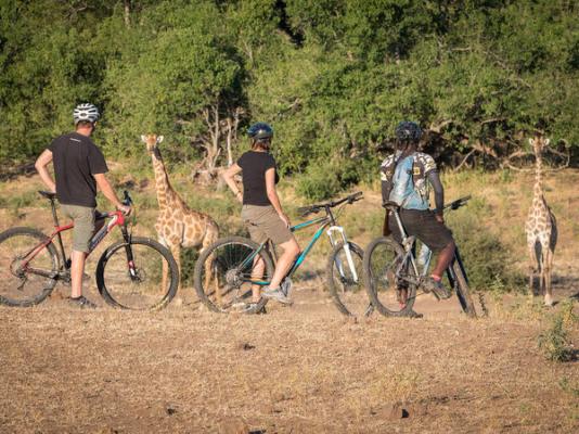 Mashatu Tent Camp - Mashatu Game Reserve - 233805
