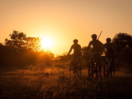 Mashatu Tent Camp - Mashatu Game Reserve - 233809