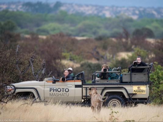 Mashatu Tent Camp - Mashatu Game Reserve - 233813