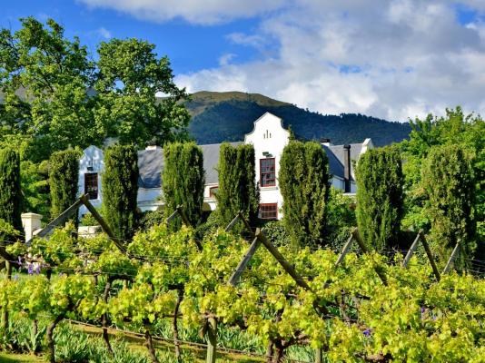 Val du Charron Wine and Leisure Estate Guesthouse - 233936