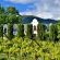 Val du Charron Wine and Leisure Estate Guesthouse - 233936