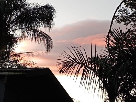 Eagles Nest B&B - 234021