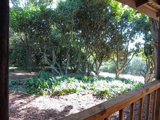 Garden Room 4