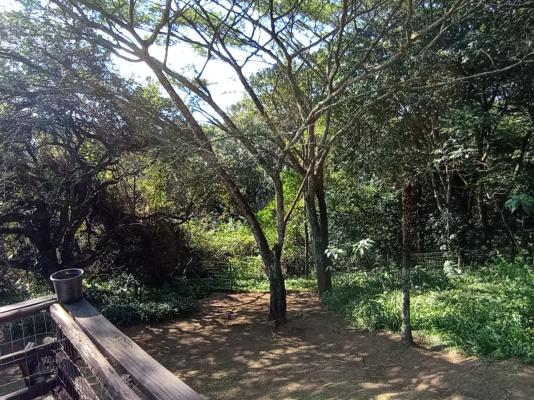 Garden Room 3