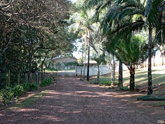 Entrance Driveway