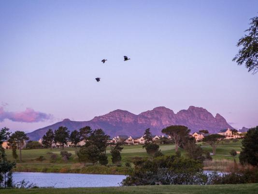 Devonvale Golf & Wine Estate - 234212