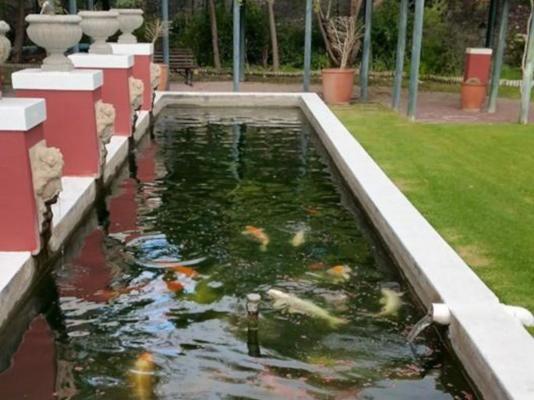 Beaufort Manor Country Lodge - 234373
