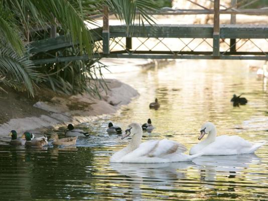 Beaufort Manor Country Lodge - 234376