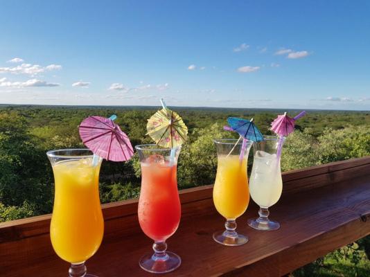 Thornhill Safari Lodge - 234699
